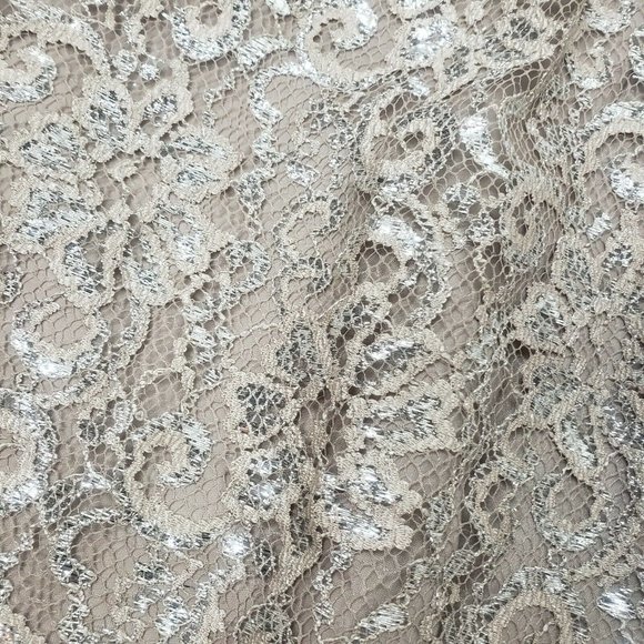 J CREW Taupe Sparkler Lace Skirt Womens Size 10 - Picture 2 of 5